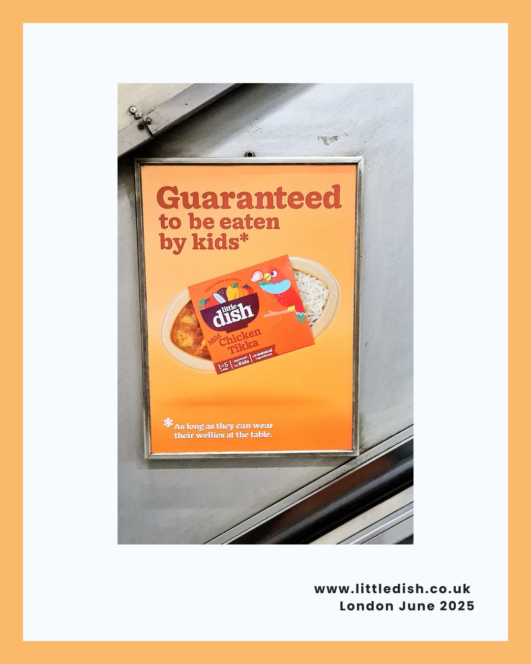 Little Dish UK